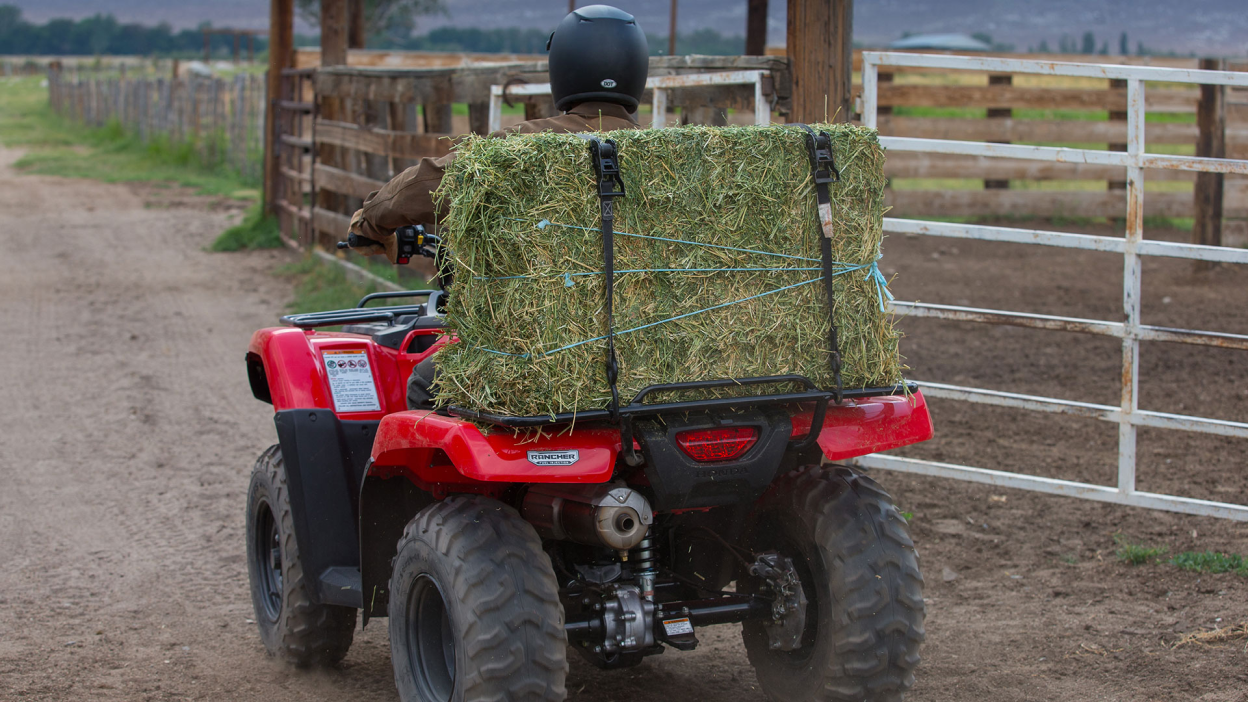 A rider on a Honda Rancher going over a rock