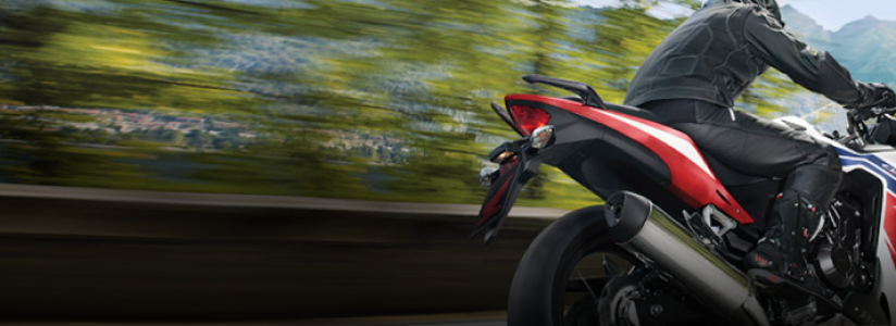 A rider on a Honda motorcycle with a blurred background of trees