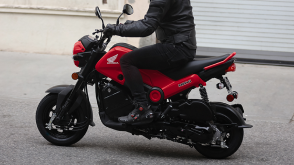Une vue 3/4 d'une Honda Navi et Rider montrant sa taille compacte